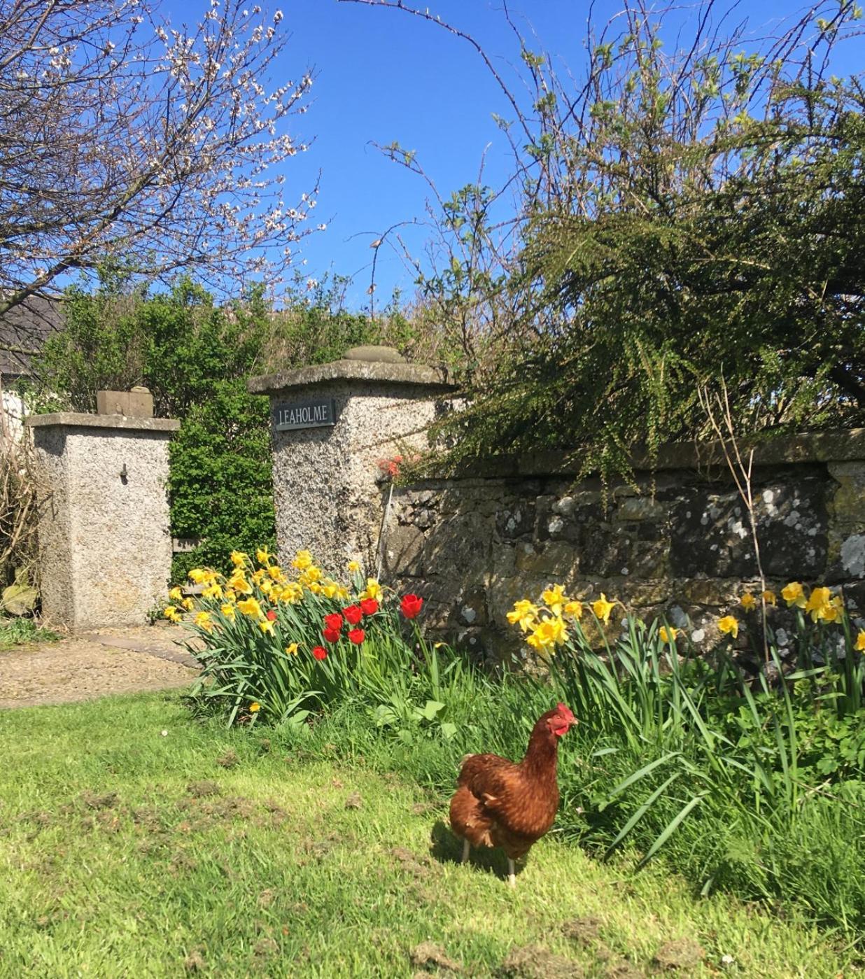 Leaholme Cottage - Fabulous Coastal Cottage For 8 滨海牛顿 外观 照片
